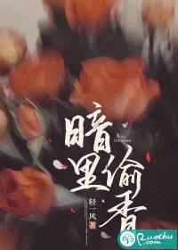 偷香电视剧免费观看