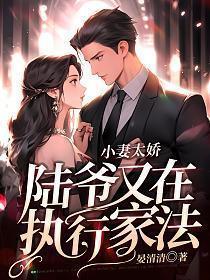 陆爷又在执行家法。陆 锦年