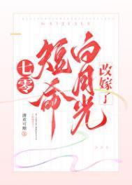 穿越年代文白月光小小的晓