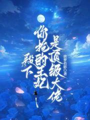 殿下你抢的王妃是顶级大佬免费阅读