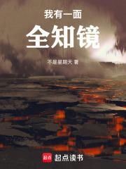 我有一面全知镜阅读