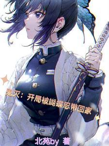 穿越鬼灭娶蝴蝶忍的飞卢