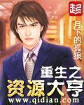 重生之资源大亨txt八零
