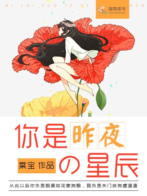 昨夜星辰昨夜你dj