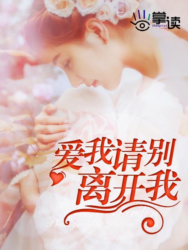 爱我别离开我电视剧