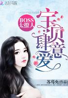 傲娇先生和偏执小姐