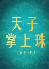 军少掌中宝txt百度