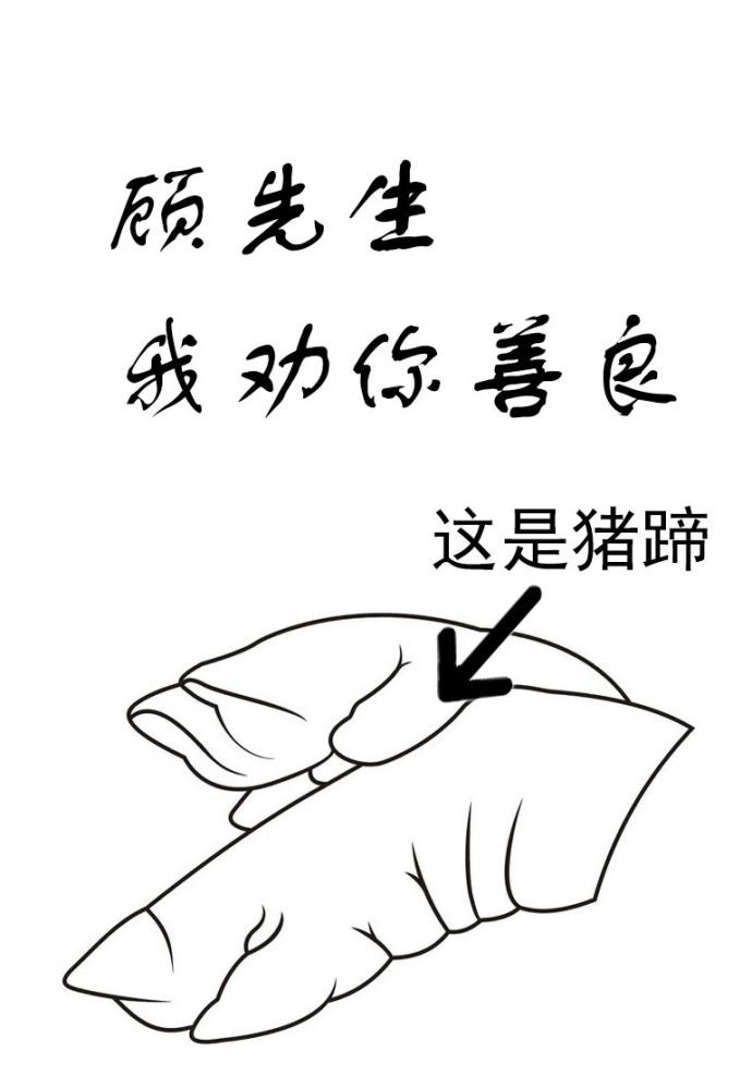 顾先生我劝你善良的54