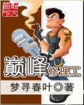 修理厂阿峰倾城之巅第二章