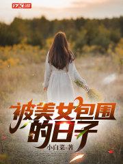 被美女包围的日子结局