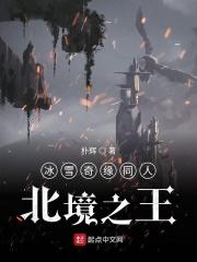 冰雪奇缘寻找北极光