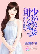 豪门第一少奶奶谢少的心尖宠妻