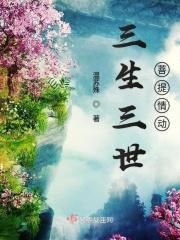 三生三世菩提劫原版