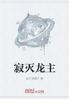寂灭龙魂辅助