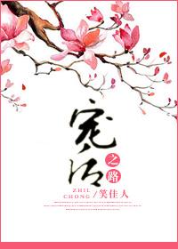 宠后之路怎么样