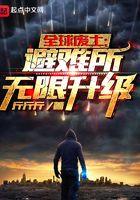 全球废土避难所无限升级zip