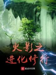 火影进化系统